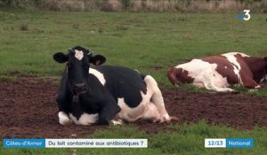 Côtes-d'Armor : du lait contaminé aux antibiotiques ?