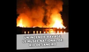 Un incendie ravage le Musée national de Rio de Janeiro