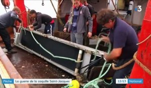 Pêche : la guerre de la coquille Saint-Jacques