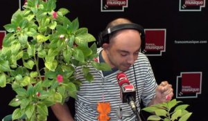 Clapping Music Matin - Guillaume Tion