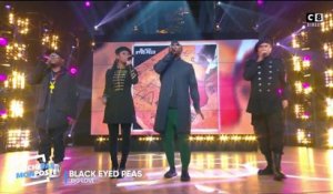 Black Eyed Peas - Big Love (Live @TPMP)