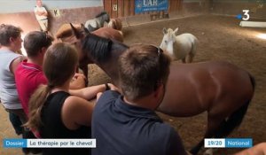 Thérapie : de l'équitation pour des blessés de guerre