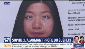 Disparition de Sophie Le Tan: des battues citoyennes pour tenter de retrouver la jeune femme