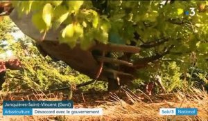 Hérault : les arboriculteurs en colère contre la suppression d’allègements de charges