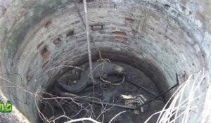Ils sauvent un crocodile piégé dans un puits... Pas simple