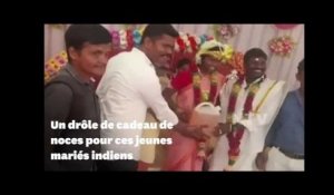 Ces jeunes mariés indiens ont reçu un drôle de cadeau de mariage