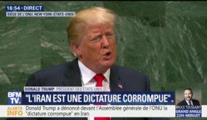 Discours de Trump à l'ONU: "Nous renégocions systématiquement tous les accords commerciaux mauvais"