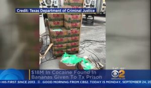Découverte de 18 millions de $ de cocaine dans des cartons de bananes destinés à une prison du Texas