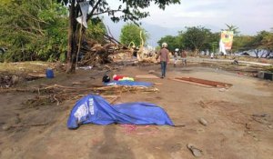Séisme et tsunami en Indonésie: plusieurs centaines de morts