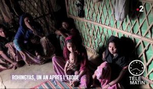 Humanitaire - Rohingyas