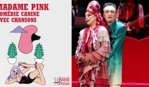Roxie, caniche rose / Madame Pink