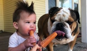 Hilarant : ce bébé et son chien mangent une glace ensemble