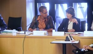 Questions à Christine Lazerges (CNCDH) - Service publics Outre-mer - cese