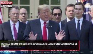 Donald Trump insulte une journaliste en conférence de presse, la vidéo polémique