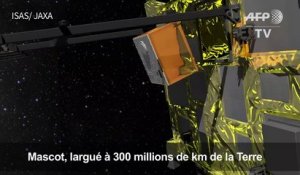 Le robot franco-allemand Mascot à la découverte d'un astéroïde