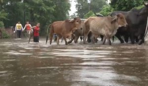 Pluies diluviennes meurtrières au Salvador