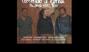 Ricardo Herz Trio - um xote apaixonado