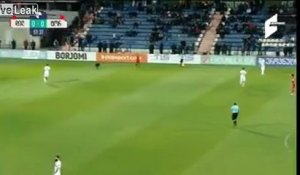 Chien sur un terrain de foot - il interrompt le match et tout le monde lui court après !