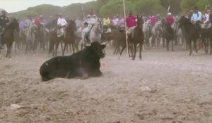 Fêtes en Espagne : la cruauté avec les animaux : taureau, oies, canards...