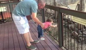 Quand ta fille ne veut pas partir du Zoo... Tellement drôle!