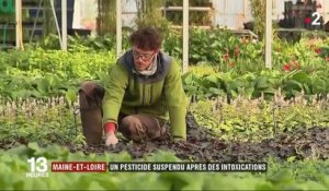 Maine-et-Loire : un pesticide suspendu après des intoxications