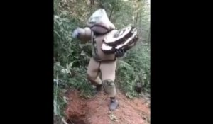 Costumé, un Japonais tente de détruire un nid de frelons géants en dansant et c'est le drame !