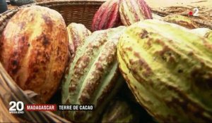 Madagascar : à la découverte de la terre de cacao