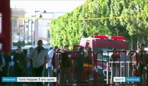 Tunisie : une kamikaze fait 17 blessés à Tunis