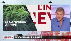 Le cannabis arrive - L'Info du vrai du 30/10 - CANAL+