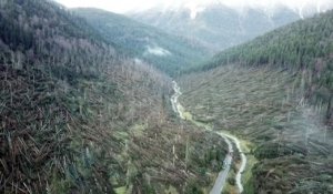 Un drone filme les ravages de la tempête qui a frappée l'Italie en octobre