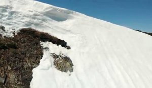 Un ourson veut rejoindre sa maman sur une montagne enneigée