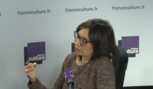 Marion Gaillard : "On a crée un outil qui ne peut pas fonctionner"