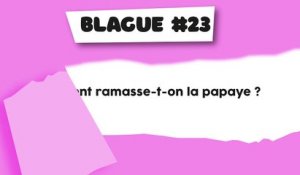 Blague #23 : Culture de la papaye