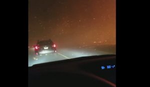 Un homme et son chat en voiture à travers un incendie (Californie)