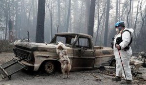 Incendie en Californie : 600 personnes toujours portées disparues