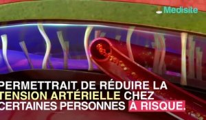 Tension artérielle : manger des noix aiderait à la faire baisser