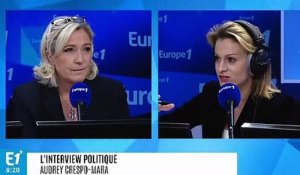 Marine Le Pen soutient la manifestation des "gilets jaunes" : "Si les Champs-Élysées sont interdits samedi, ça sera vécu comme une nouvelle humiliation"