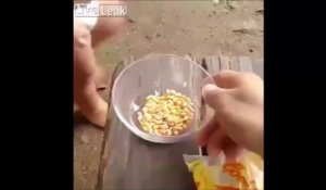 Ces Indiens font du popcorn.. Avec leur moto !