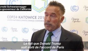 Pour Schwarzenegger, l'Amérique reste verte malgré Trump