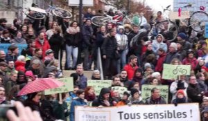 Marche pour le climat : un millier de manifestants dans les rues de Nancy