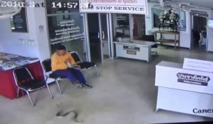 Un serpent s'en prend à un homme dans un commissariat (Thaïlande)