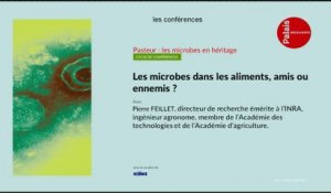 Les microbes dans les aliments, amis ou ennemis ?