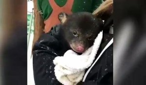 Un ourson se réchauffe dans sa serviette !