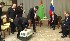 Vladimir Poutine fait montrer à ce président comment on tient un petit chiot !