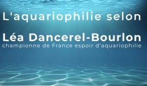 L'aquariophilie selon Léa Dancerel-Bourlon