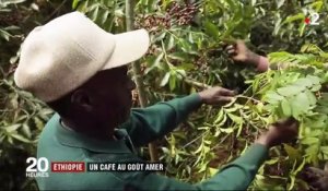 Éthiopie : la chute des prix du café pèse sur les producteurs