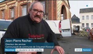 Recyclage : la deuxième vie des coquilles