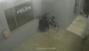 Cet imbécile a essayer de voler un vélo devant un commissariat de police