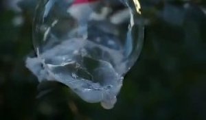 Une bulle gèle par -17 degrés et c'est magnifique