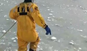 Cet homme a tout risqué pour sauver un chien prisonnier d’un lac gelé